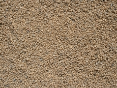 Sand-5.jpg